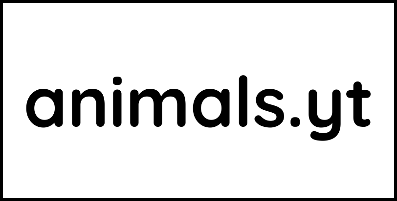 animals.yt