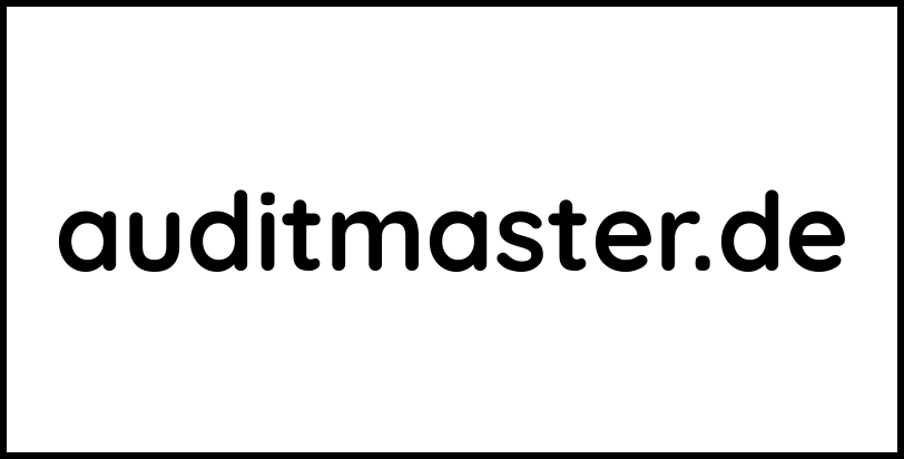 auditmaster.de