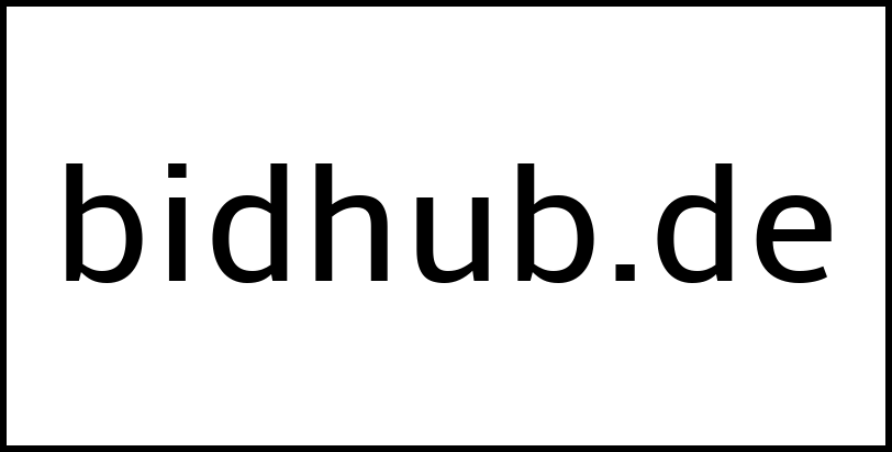 bidhub.de