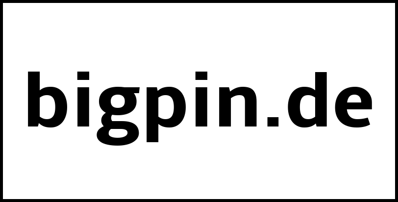 bigpin.de