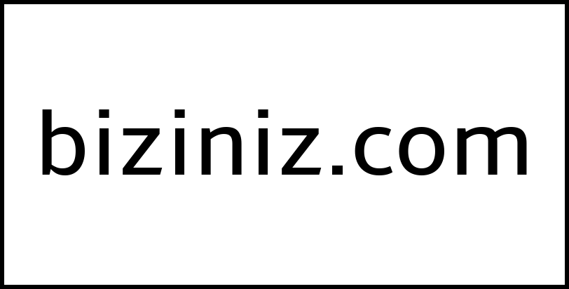 biziniz.com