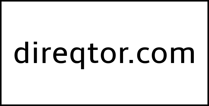 direqtor.com