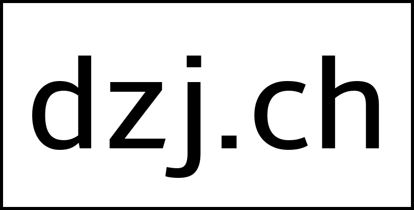 dzj.ch