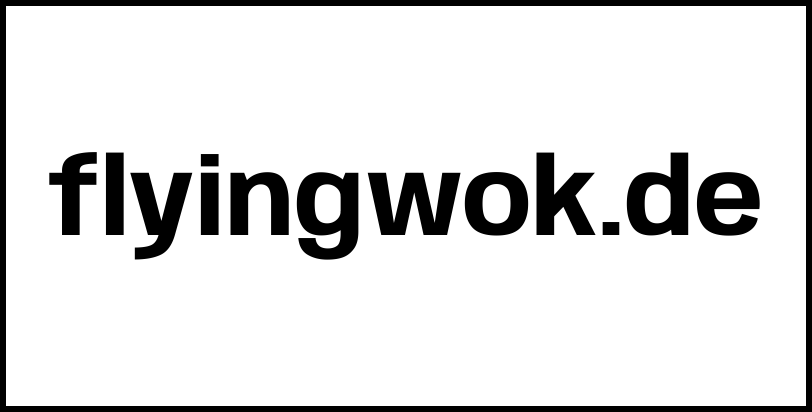 flyingwok.de