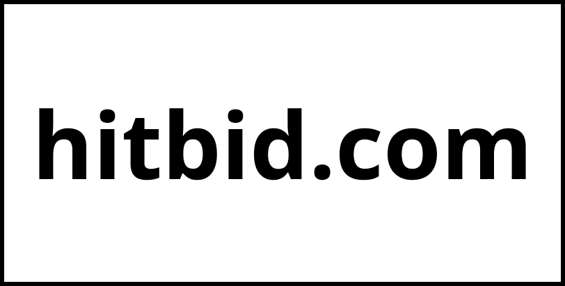 hitbid.com