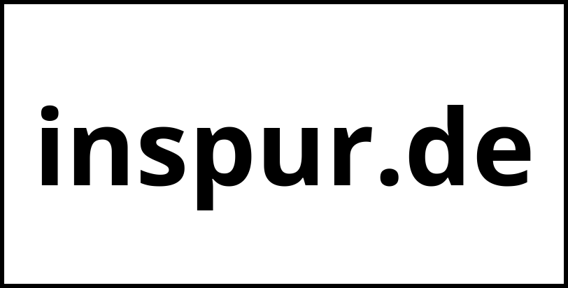 inspur.de