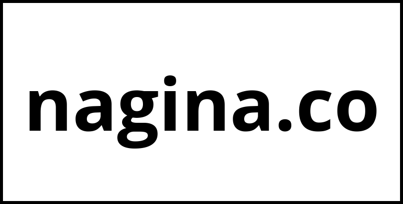 nagina.co