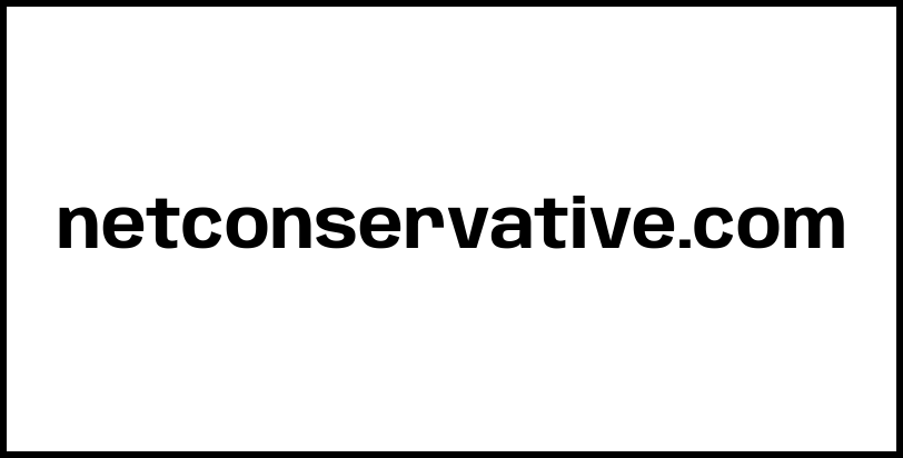 netconservative.com