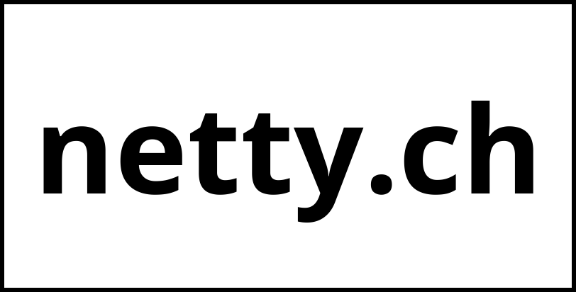 netty.ch