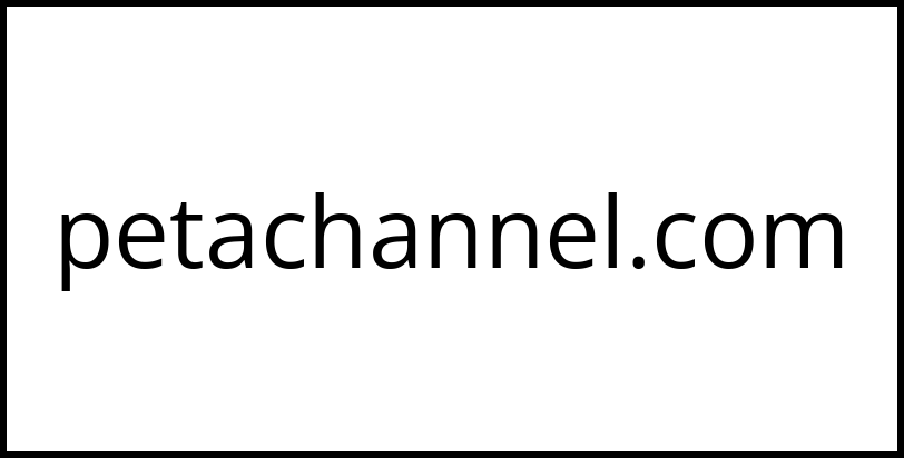 petachannel.com