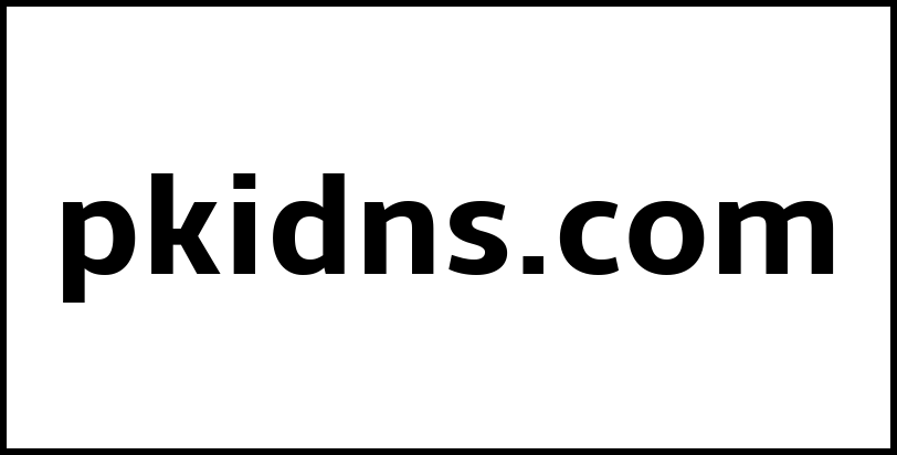 pkidns.com