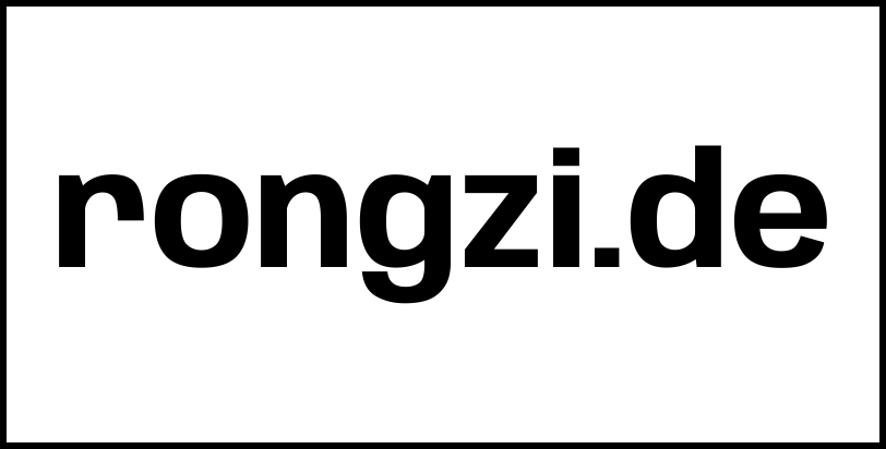 rongzi.de