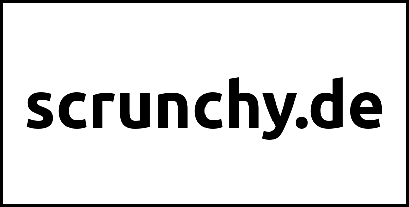 scrunchy.de