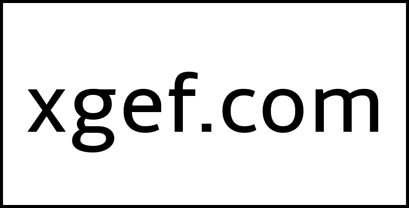 xgef.com